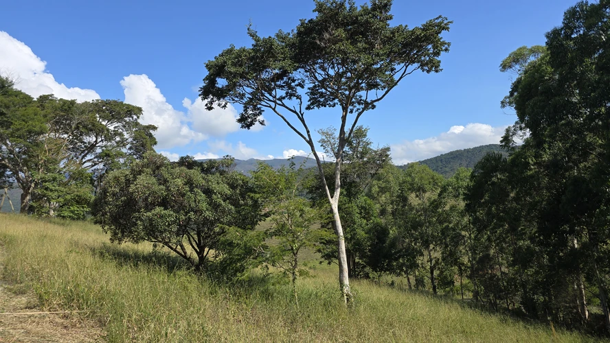 Terreno para vender, 2.431 m²