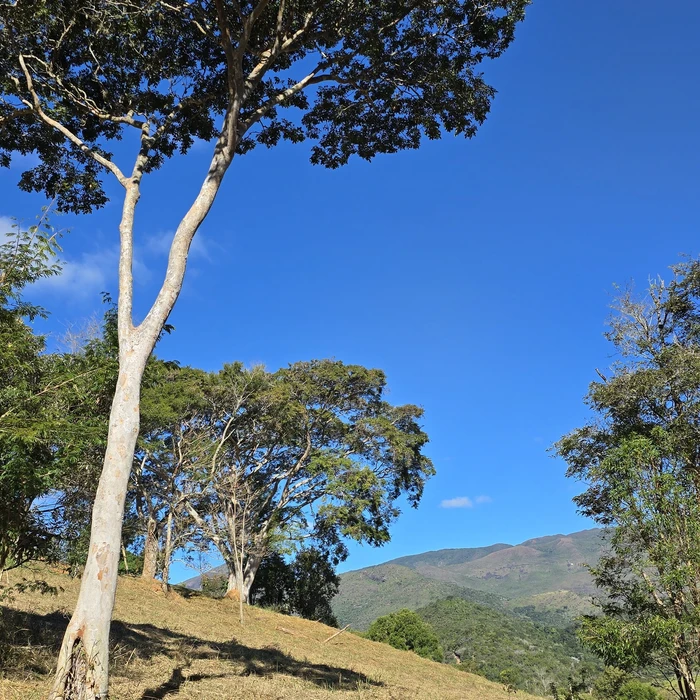 Terreno para vender, 2.431 m² - foto 2