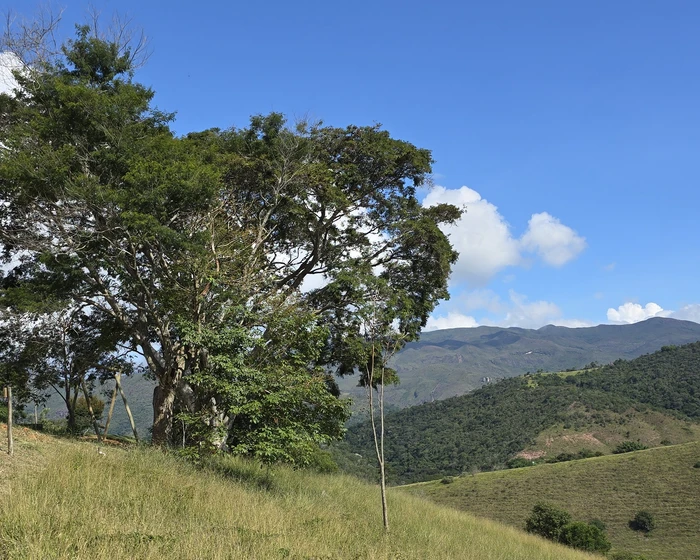 Terreno para vender, 2.431 m² - foto 3