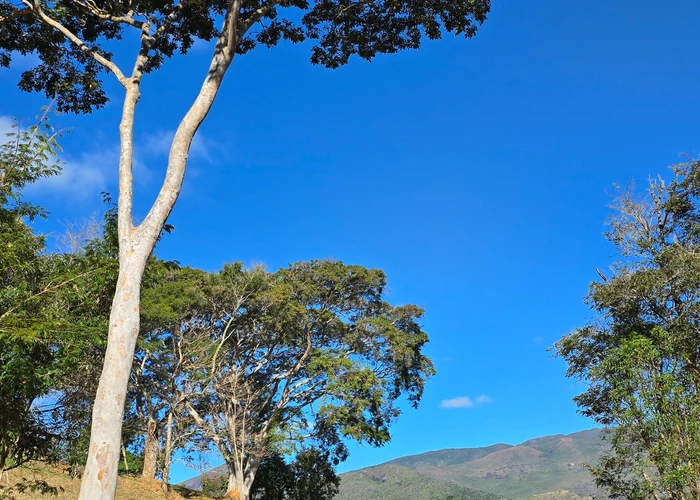 Terreno para vender, 2.431 m² - foto 2