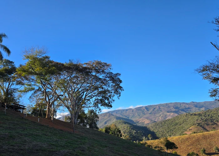 Terreno para vender, 2.431 m² - foto 4