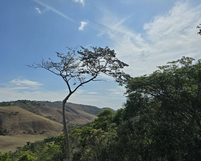Terreno para vender, 4.397 m² - foto 3