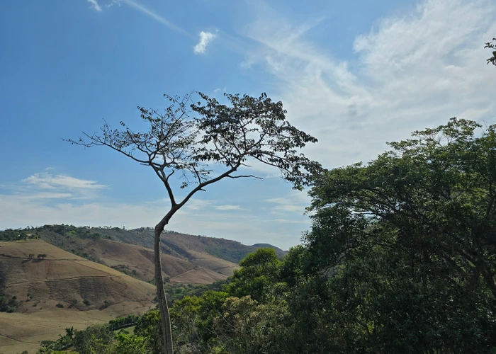 Terreno para vender, 4.397 m² - foto 3