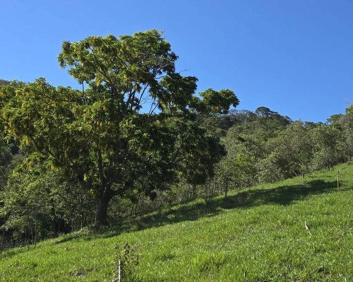 Terreno para vender, 3.129,6 m² - foto 2