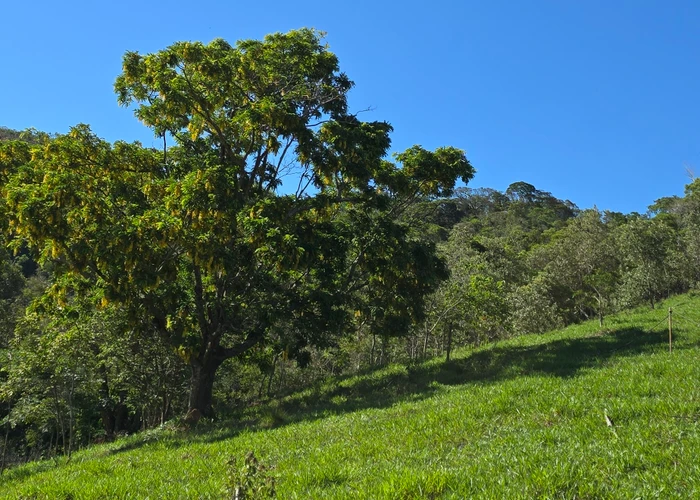 Terreno para vender, 3.129,6 m² - foto 2