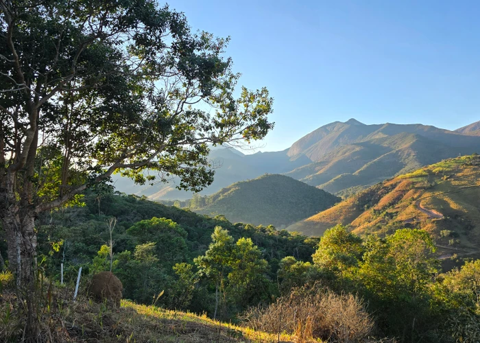 Terreno 2500m² em Condomínio Gardi Videiras - Paty do Alferes - foto 4